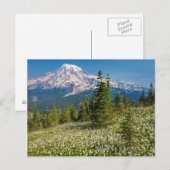 Carte Postale Lis de l'avalanche et Mont Rainier (Devant / Derrière)