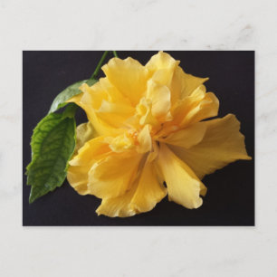 Carte Postale Lisa 1 - educatedbrainfart