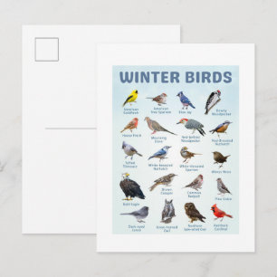 Carte Postale liste d'oiseaux d'hiver Cardinaux boréaux, Geais b