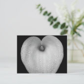 Carte Postale Lit avec gouttes de pluie (Debout devant)