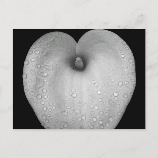 Carte Postale Lit avec gouttes de pluie (Devant)