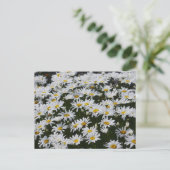 Carte Postale Lit Daisy (Debout devant)