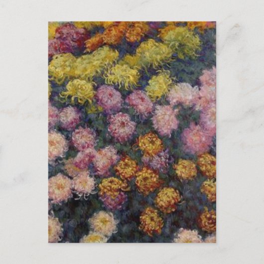 Carte Postale Lit de Chrysanthemums par Claude Monet Postcard (Devant)
