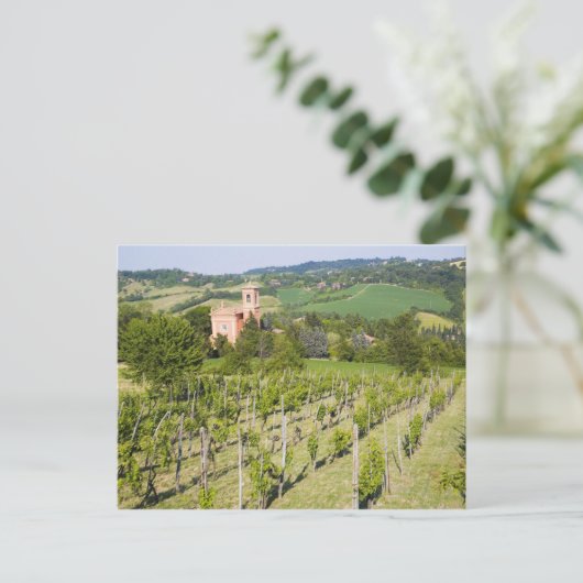 Carte Postale L'Italie, Bologna, vue par le vignoble à Chiesa (Debout devant)