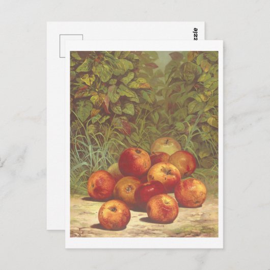 Carte postale Lithographe vintage Apple (Devant / Derrière)