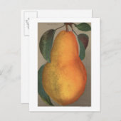 Carte Postale Lithographie de chromo de fruits de Bartlett Pear (Devant / Derrière)