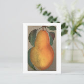 Carte Postale Lithographie de chromo de fruits de Bartlett Pear (Debout devant)