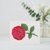 Carte Postale Lithographie de rose antique, François-Frédéric Gr (Debout devant)