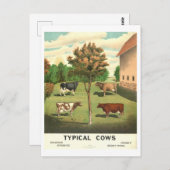 Carte Postale Lithographie Vintage "Vaches typiques" (Devant / Derrière)