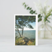 Carte Postale Little Bay Park (Debout devant)