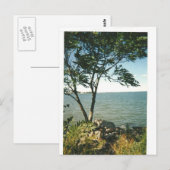 Carte Postale Little Bay Park (Devant / Derrière)