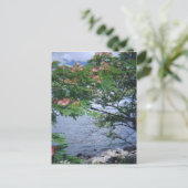 Carte Postale Little Bay Park, Queens, NY (Debout devant)