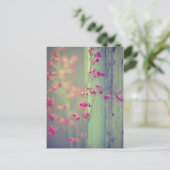 Carte Postale Little Bells (Debout devant)