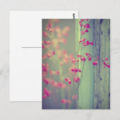 Carte Postale Little Bells (Devant / Derrière)