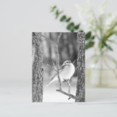 Carte Postale Little Bird (Debout devant)
