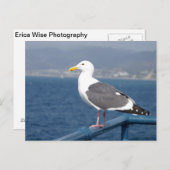 Carte Postale Little Birdy (Devant / Derrière)