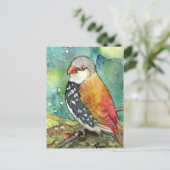 Carte Postale Little Birdy (Debout devant)
