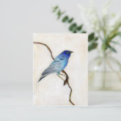 Carte Postale Little Blue 2012 (Debout devant)