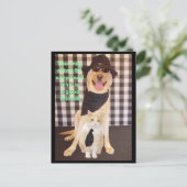 Carte Postale Little Buddy (Debout devant)