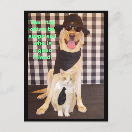 Carte Postale Little Buddy (Devant)