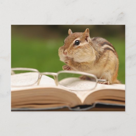 Carte postale Little Chipmunk Reading (Devant)