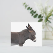 Carte postale Little Donkey (Debout devant)