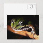 Carte postale Little Frog (Devant / Derrière)