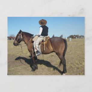 Carte Postale Little Gaucho