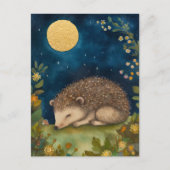 Carte postale Little Hedghog couchage (Devant)