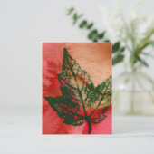 Carte postale "Little Maple" (Debout devant)