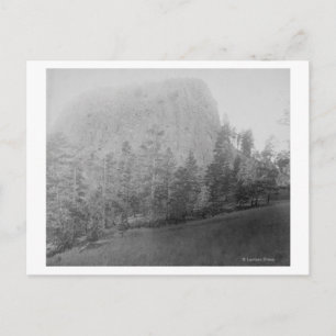 Carte Postale Little Missouri Butte Beyod Champ et arbres