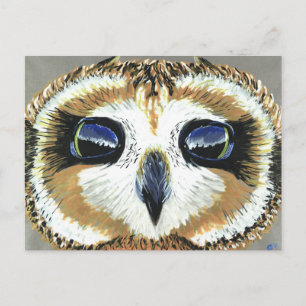 Carte postale Little Owl Eyes