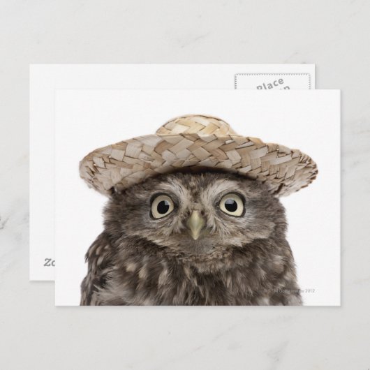 Carte Postale Little Owl wearing a straw a (Devant / Derrière)