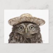 Carte Postale Little Owl wearing a straw a (Devant)