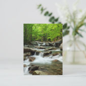 Carte Postale Little Pigeon River à Greenbrier (Debout devant)