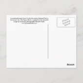 Carte Postale - Little Pigeon River, Great Smoky M (Dos)