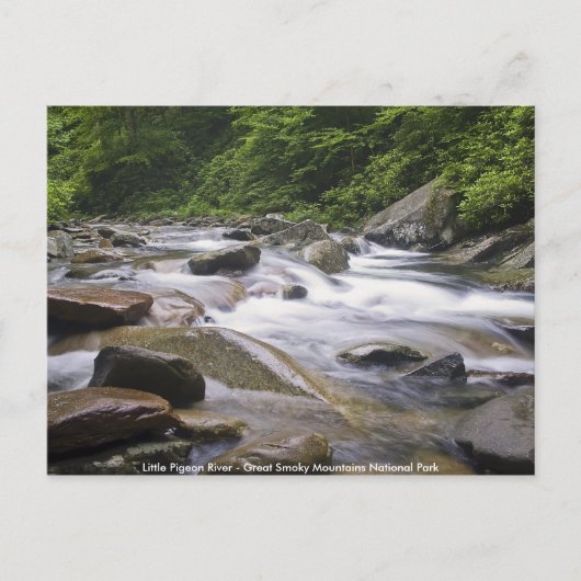 Carte Postale - Little Pigeon River, Great Smoky M (Devant)