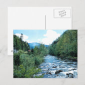 Carte postale Little Pigeon River (historique) (Devant / Derrière)