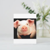 Carte Postale Little Piggy (Debout devant)