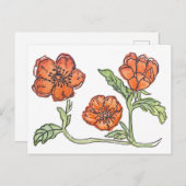 Carte postale Little Poppy (Devant / Derrière)