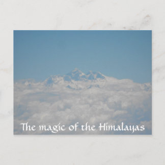 Carte postale Little Seeds 4