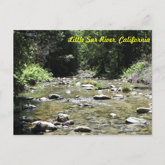 Carte Postale Little Sur (Devant)