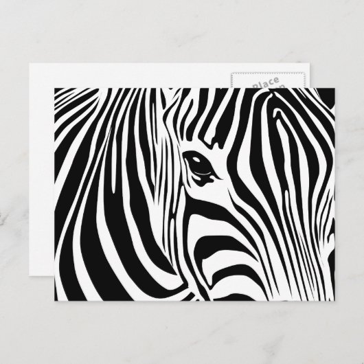 Carte postale Little Zebra (Devant / Derrière)