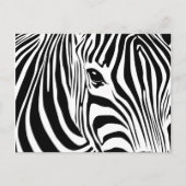 Carte postale Little Zebra (Devant)