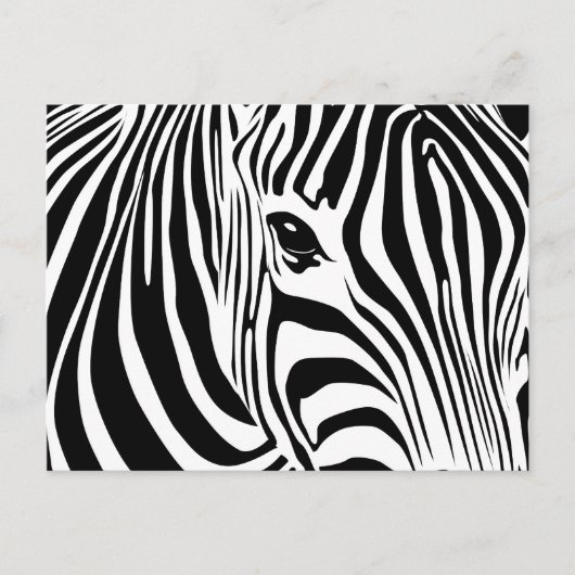 Carte postale Little Zebra (Devant)