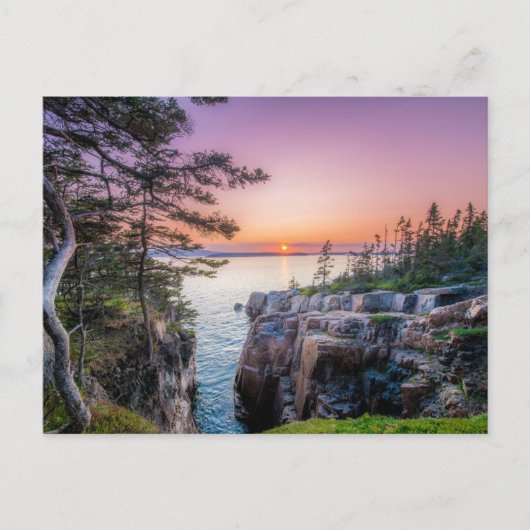 Carte Postale Littoral | Nid de corbeau Parc national d'Acadia M (Devant)