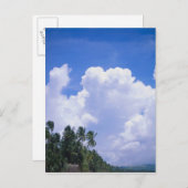 Carte Postale Littoral tropical (Devant / Derrière)