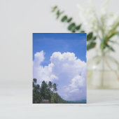 Carte Postale Littoral tropical (Debout devant)