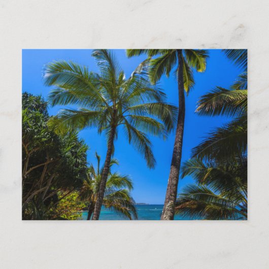 Carte Postale Littoral tropical 2 (Devant)
