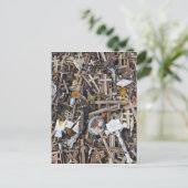 Carte Postale Lituanie, Lituanie, Lituanie centrale, Siauliai, c (Debout devant)